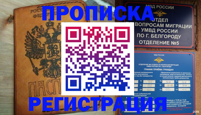 прописка для работы в Яхроме